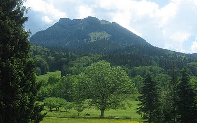 Breitenstein Berg im Sommer in Oberbayern