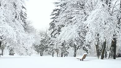 Winterliche Landschaft mit eines Waldes mit einer Bank