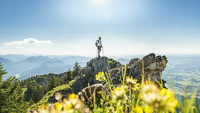 Am Breitenstein-Gipfel